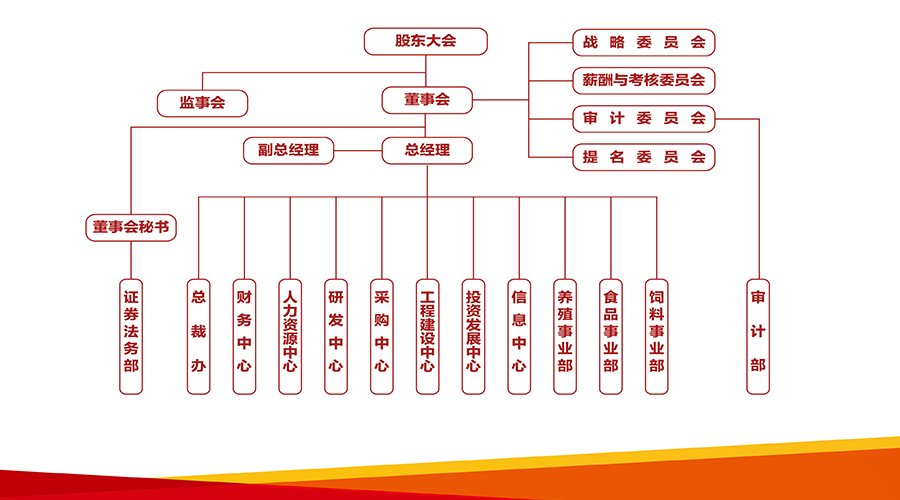 神农集团组织架构